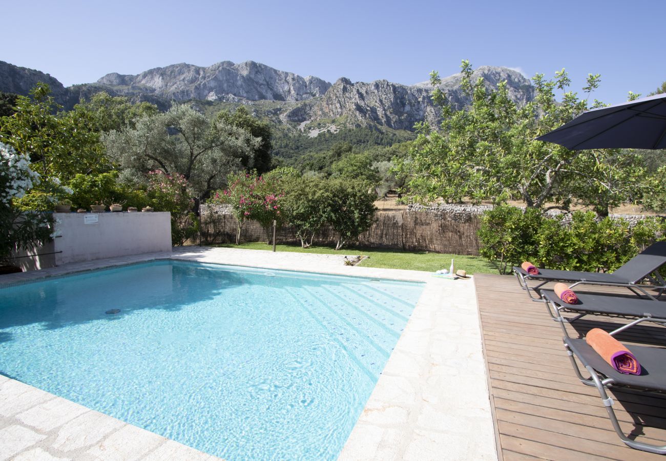 Villa en Pollensa -  Villa Sementer del Molinet By home villas 360