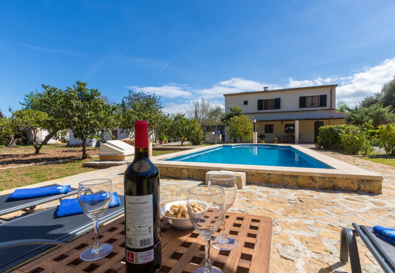 Villa en Pollensa - Villa La Palmera By home villas 360