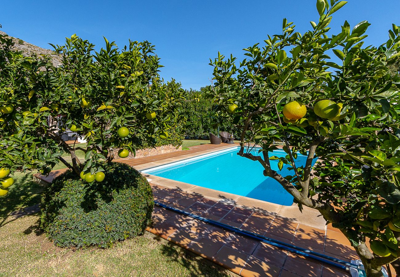 Villa en Pollensa - Villa Can LLobera