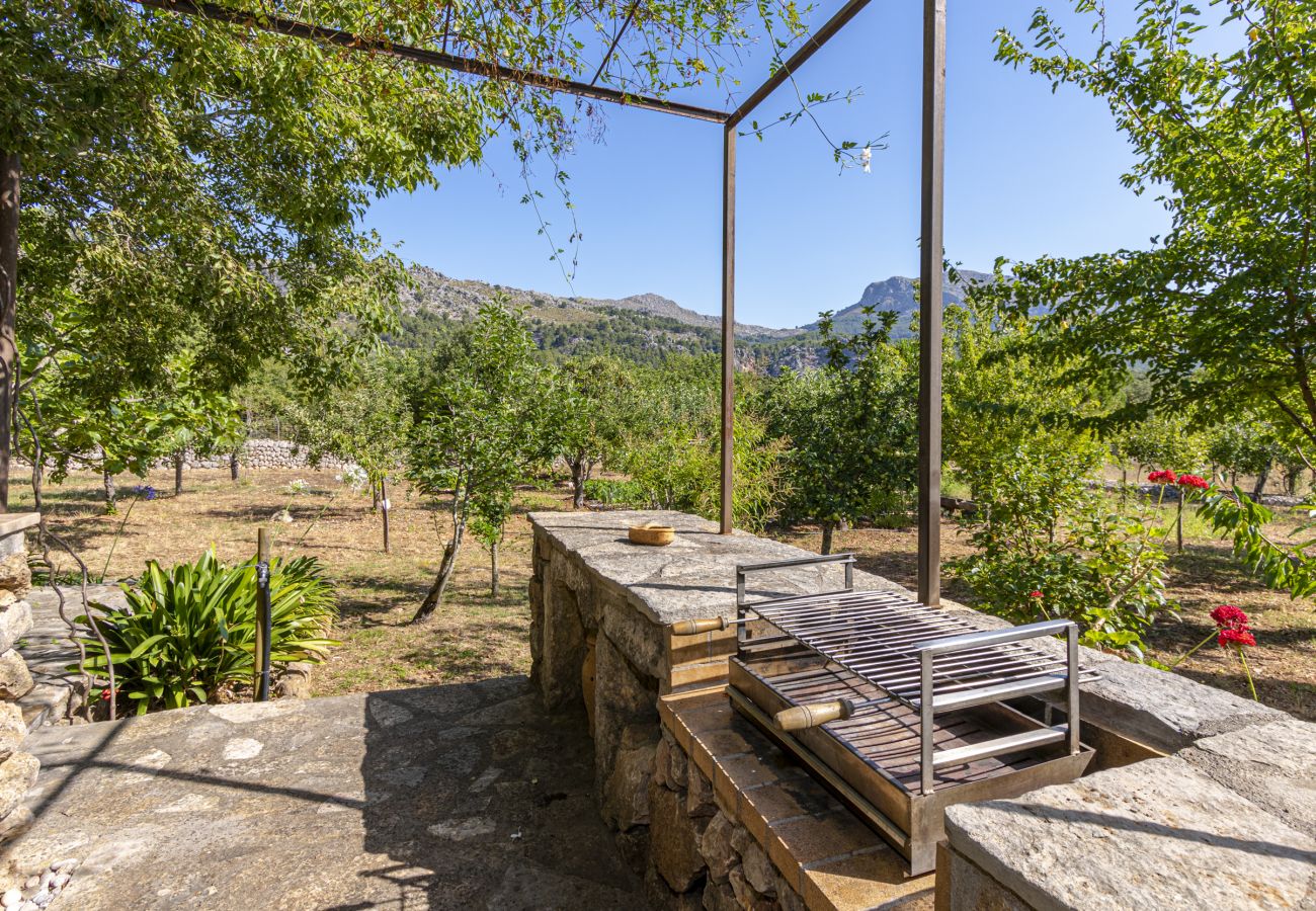 Villa in Pollensa -  Villa Sementer del Molinet By home villas 360