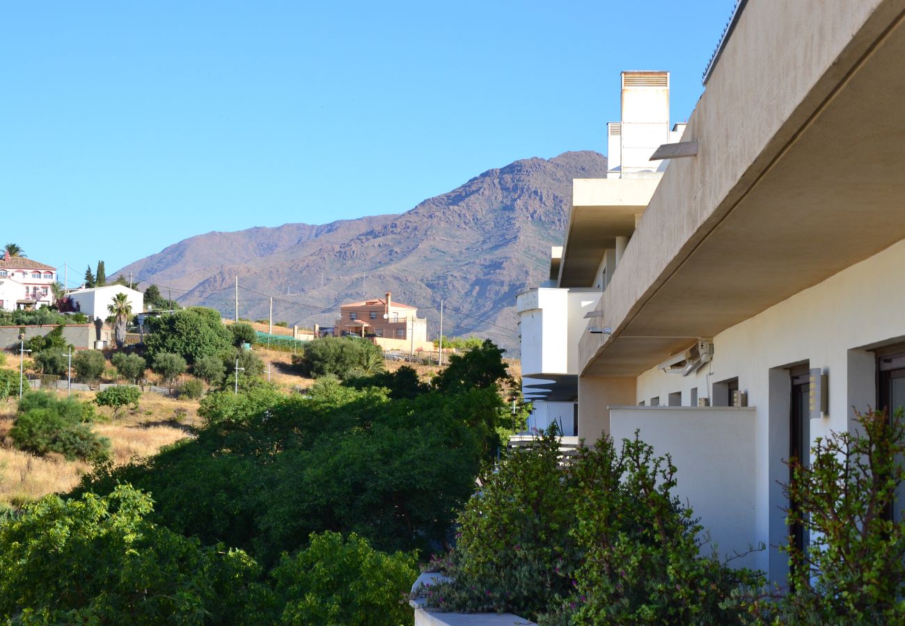 Apartment in Estepona - RSH14A 