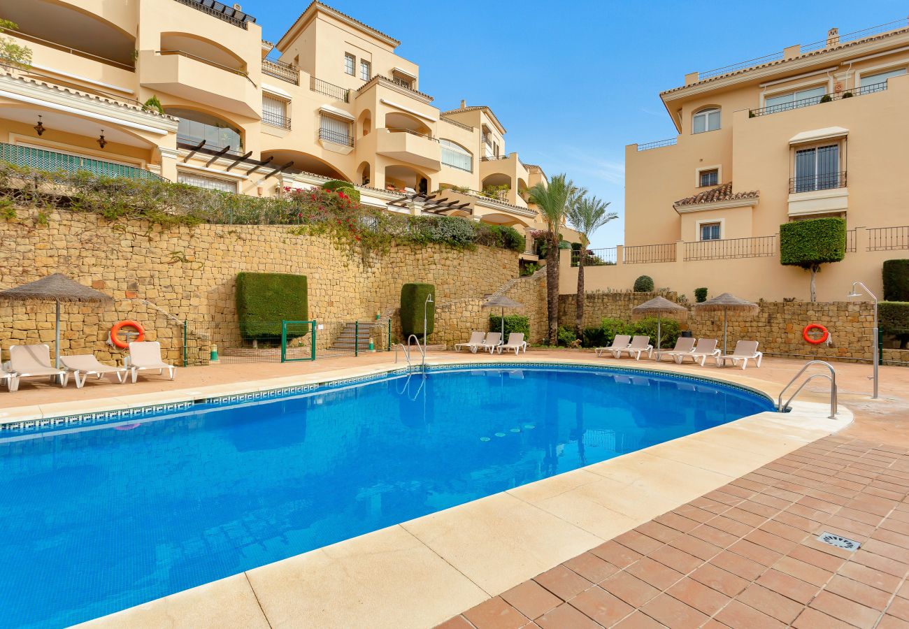 Swimming pool, sun, costa del sol, summer