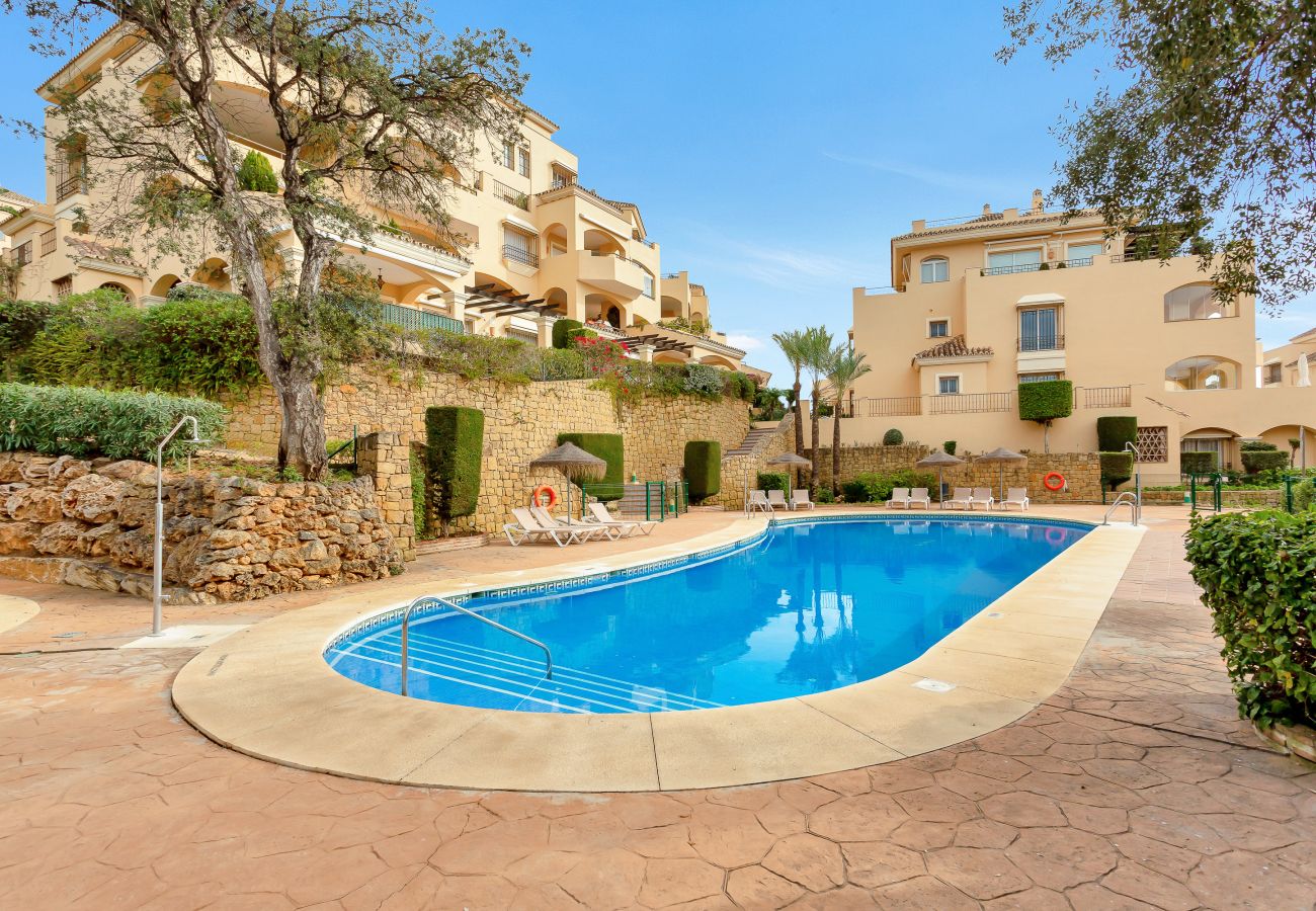 Swimming pool, sun, costa del sol, summer