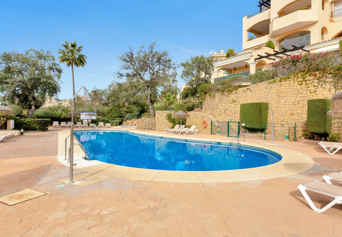 Swimming pool, sun, costa del sol, summer